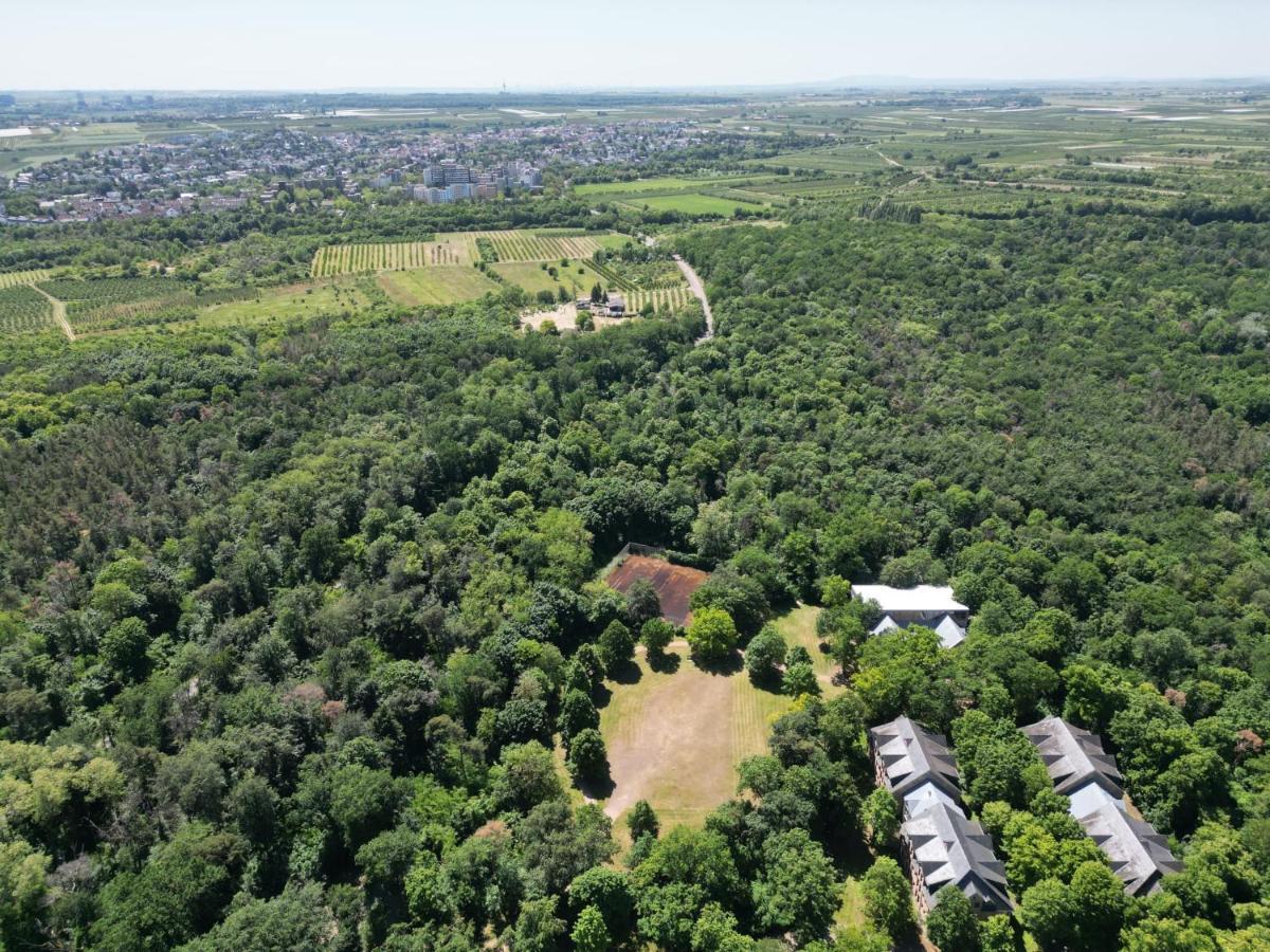 Ferienhaus Budenheim 외부 사진
